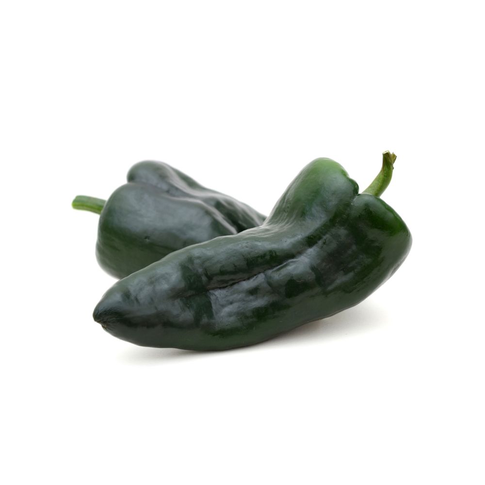 Poblano Pepper