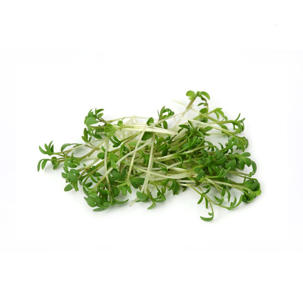 Peppercress