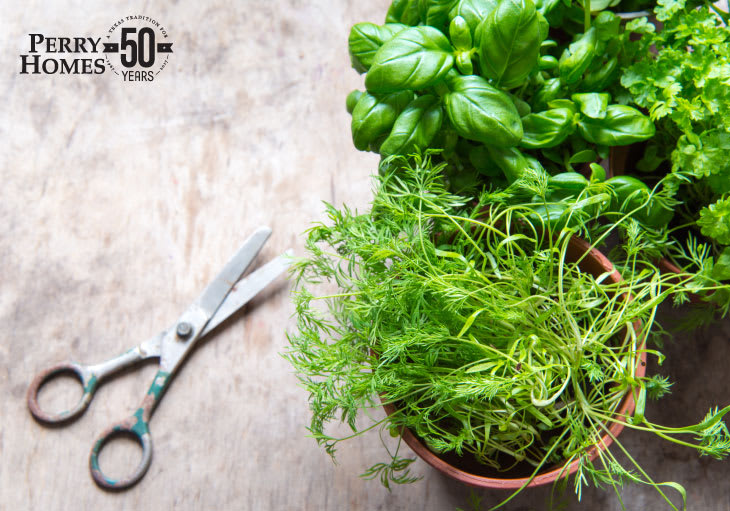 How To Start An Herb Garden