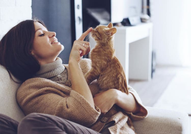 4 Steps to Cat Proofing Your Home