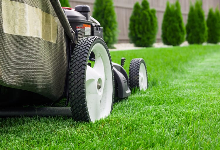 How To Manage Your Lawn Care in the Spring