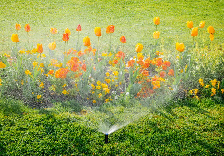An Introduction to Different Sprinklers