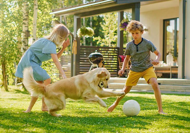 How to Create the Ultimate Dog-Friendly Backyard