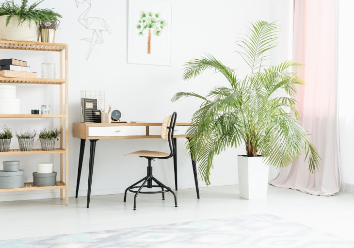 Summer 2019 Design Tips