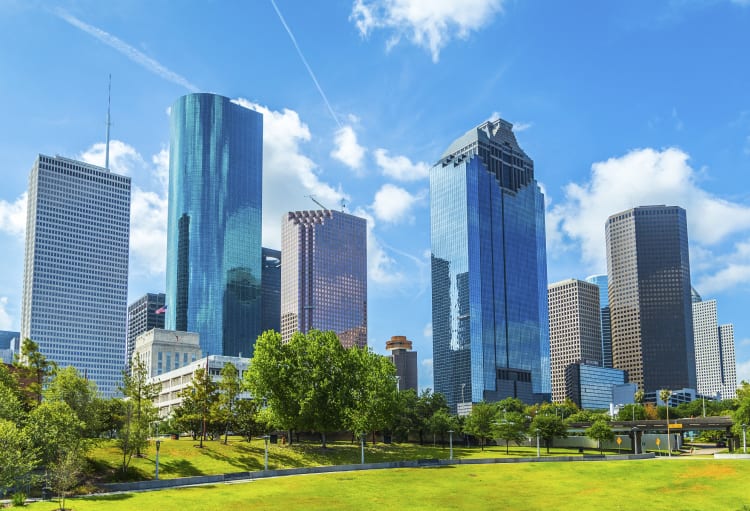5 Reasons Why You Should Consider Moving to Houston