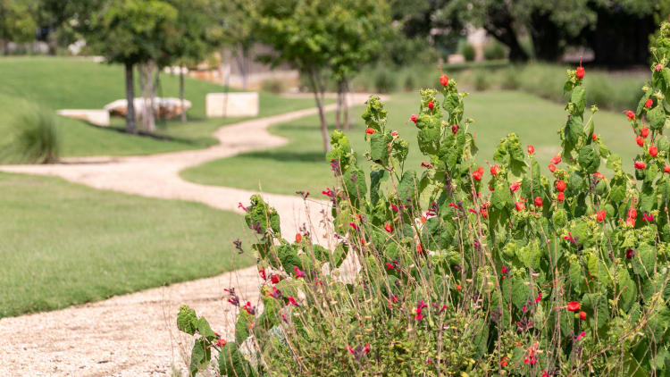 Liberty Hill, TX: A City Guide for Buyers Starting Their Search