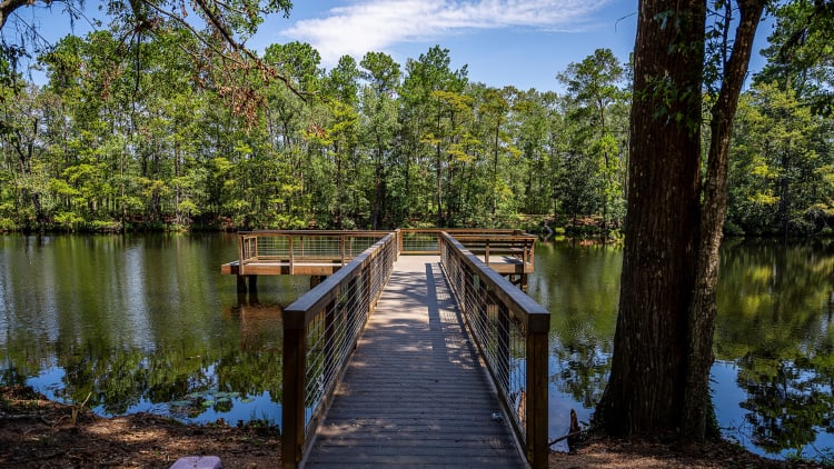 Discover Spring, TX: What Makes This City a Great Place to Live