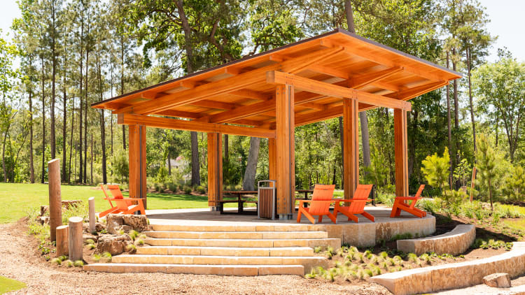 Evergreen Community Guide: Schools, Amenities, and Neighborhood