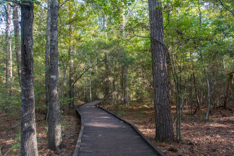 Outdoor Recreation in Hurst, TX: What Active Residents Can Expect