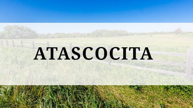 Atascocita