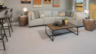 Carpet Floor Care & Maintenance