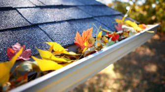 Maintenance Schedule