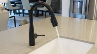 Garbage Disposal Cleaning image
