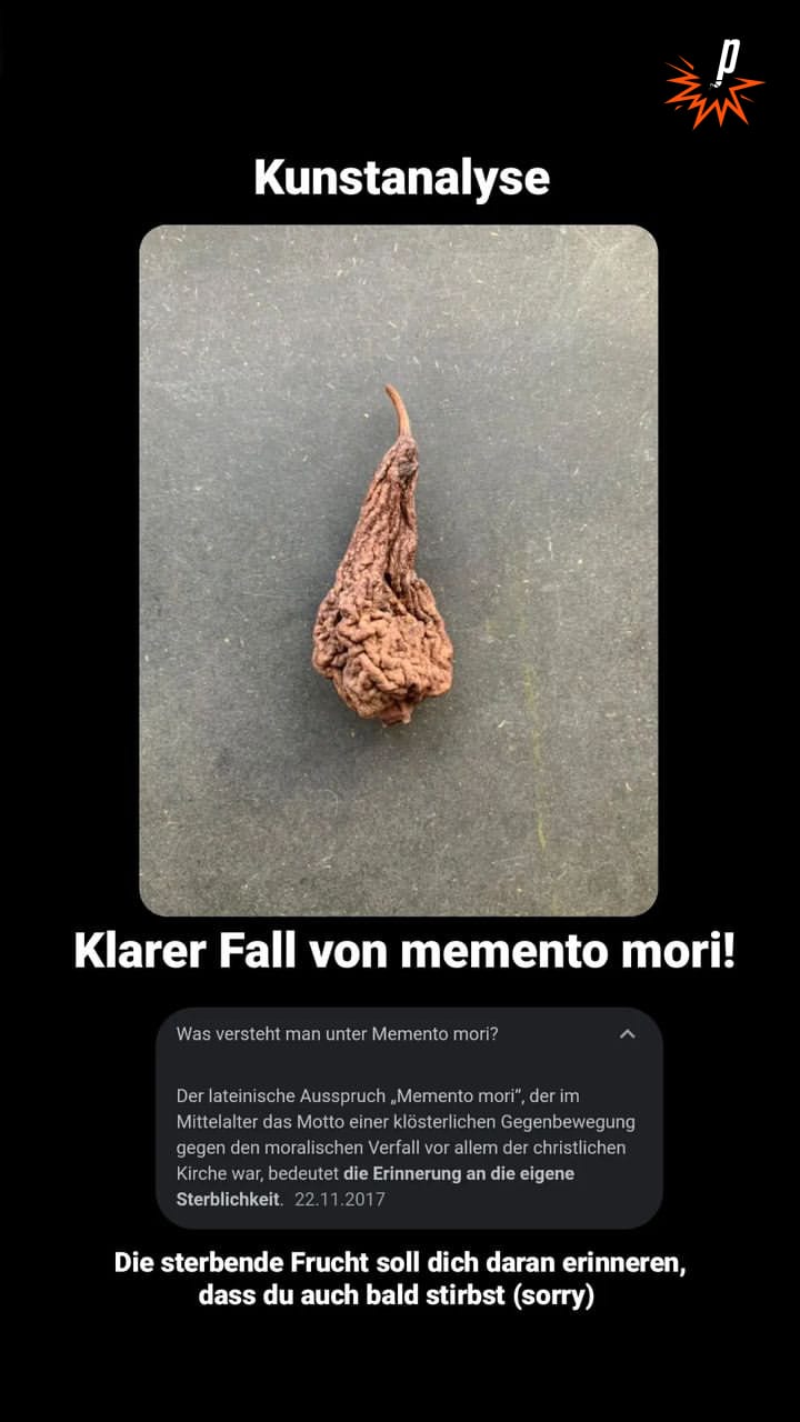 Kunstbertrachtung zu einem Foto mit eienr verschimmelten frucht