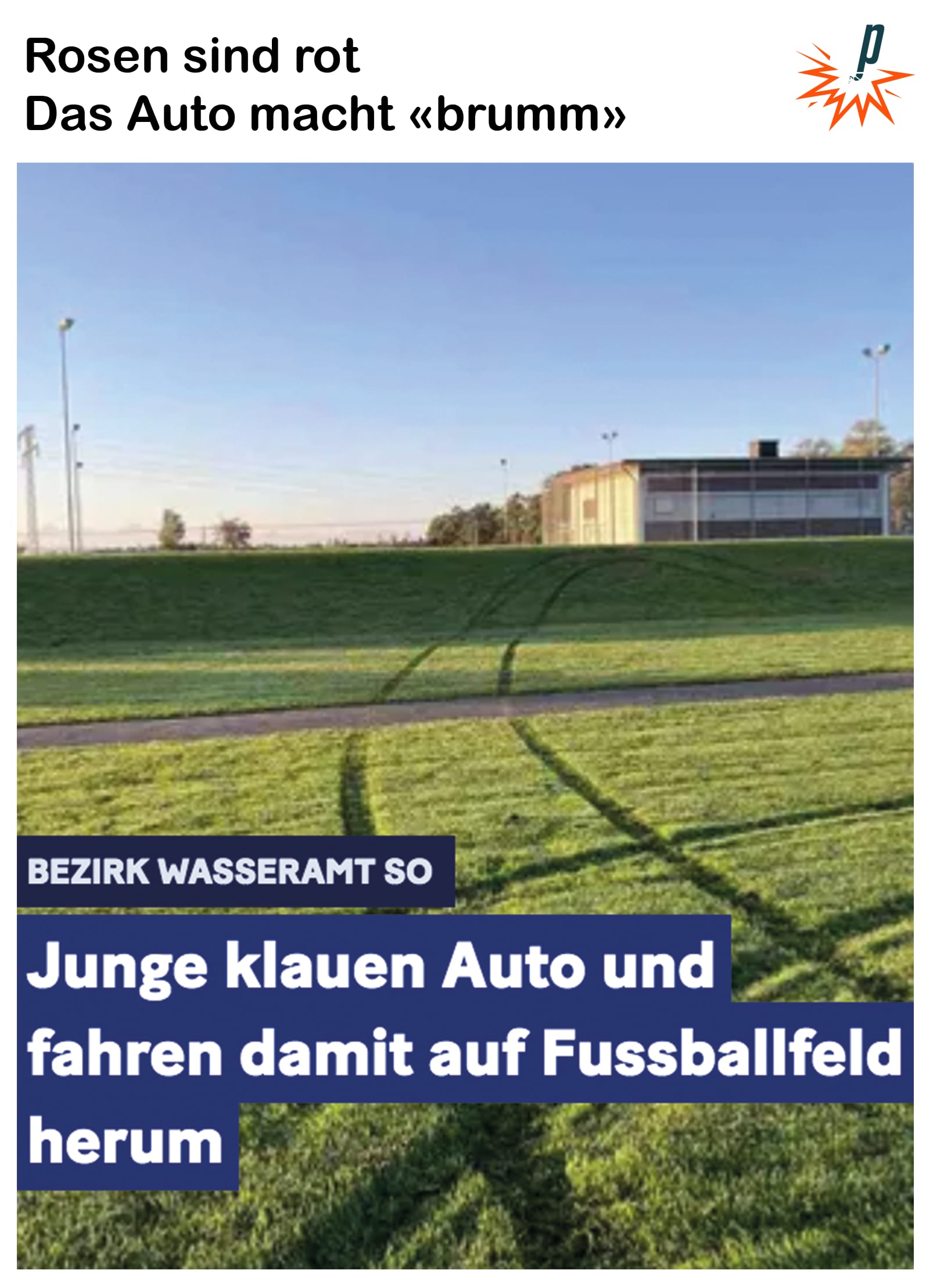 Auf dem Bild ist die Überschrift «Rosen sind rot, das Auto macht brumm» zu lesen, gefolgt von einem Screenshot eines «20 Minuten» Artikels mit der Headline «Junge klauen Auto und fahren damit auf Fussballfeld rum»