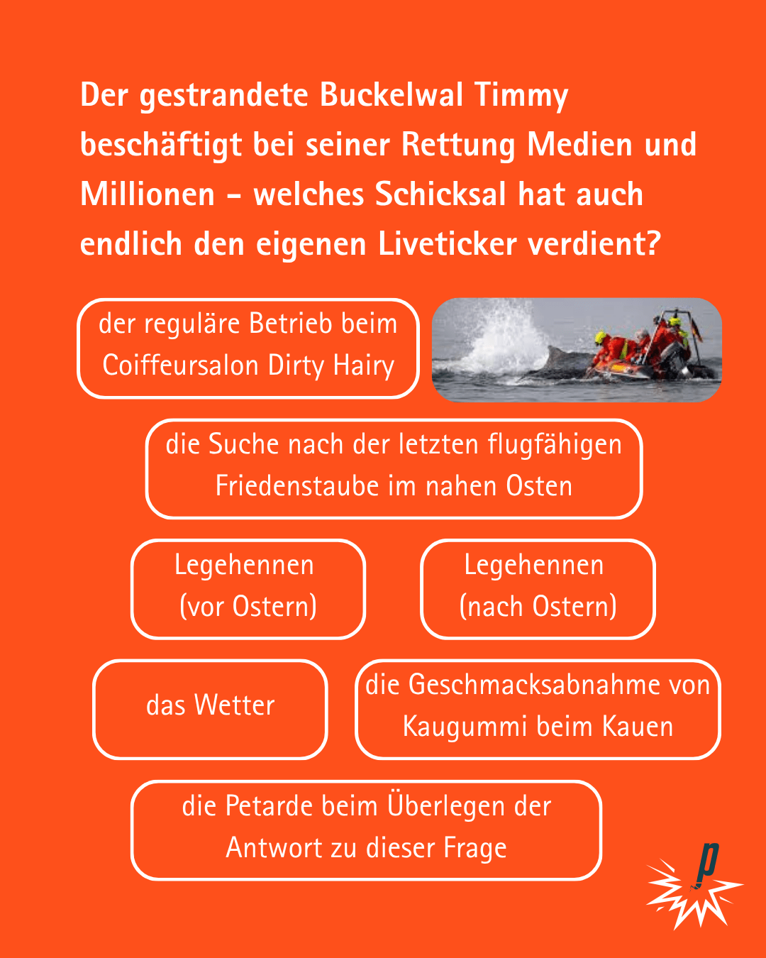 Der gestrandete Buckelwal Timmy beschäftigt bei seiner Rettung Medien und Millionen - welches Schicksal hat auch endlich den eigenen Liveticker verdient?