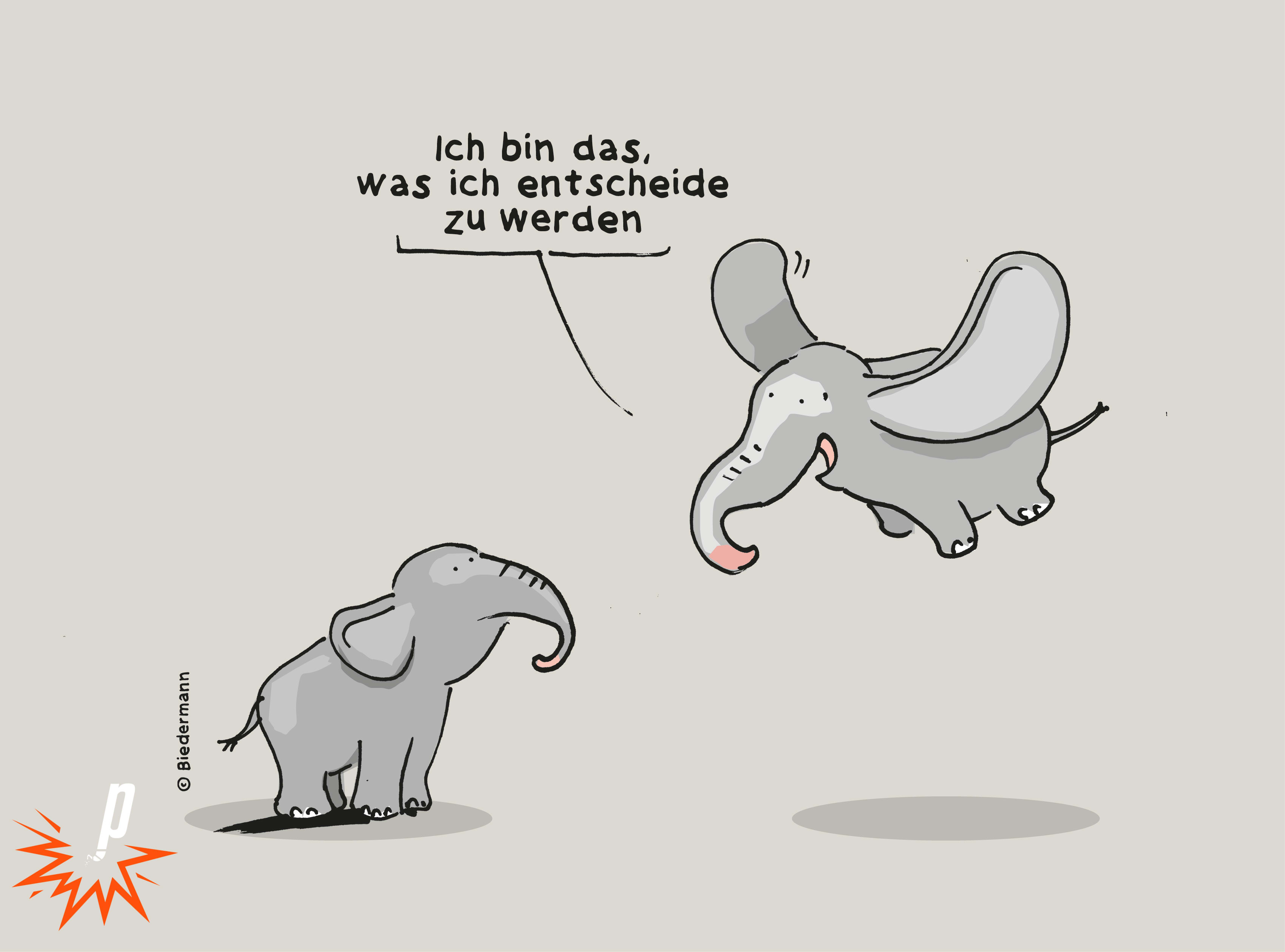 Elefant und fliegender Elefant unterhalten sich über das Leben