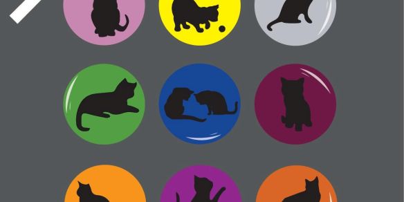 Faites Garder Vos Animaux Par Les Chats D Oc Petbooking Fr