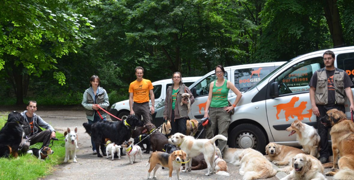 Faites Garder Vos Animaux Par Doggies Et Compagnie