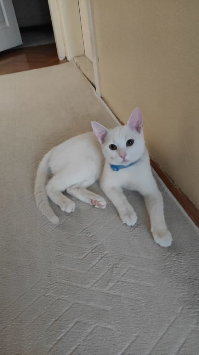 İlan fotoğrafı