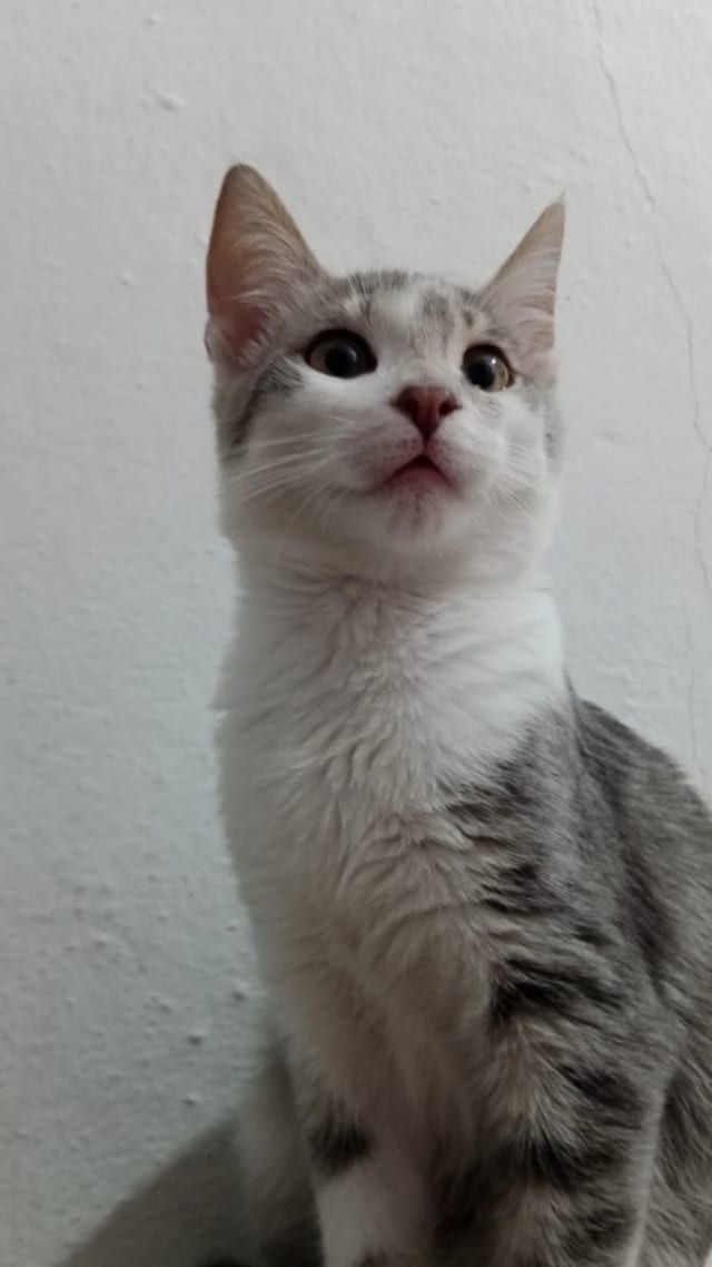 İlan fotoğrafı
