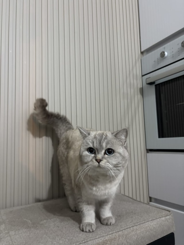 İlan fotoğrafı