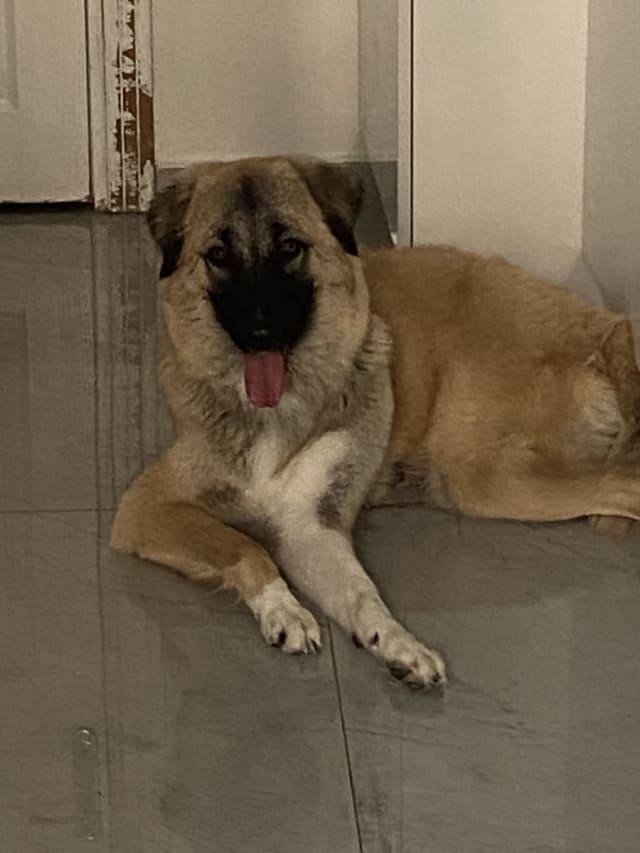 İlan fotoğrafı