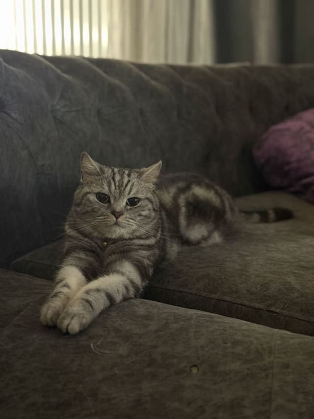 İlan fotoğrafı