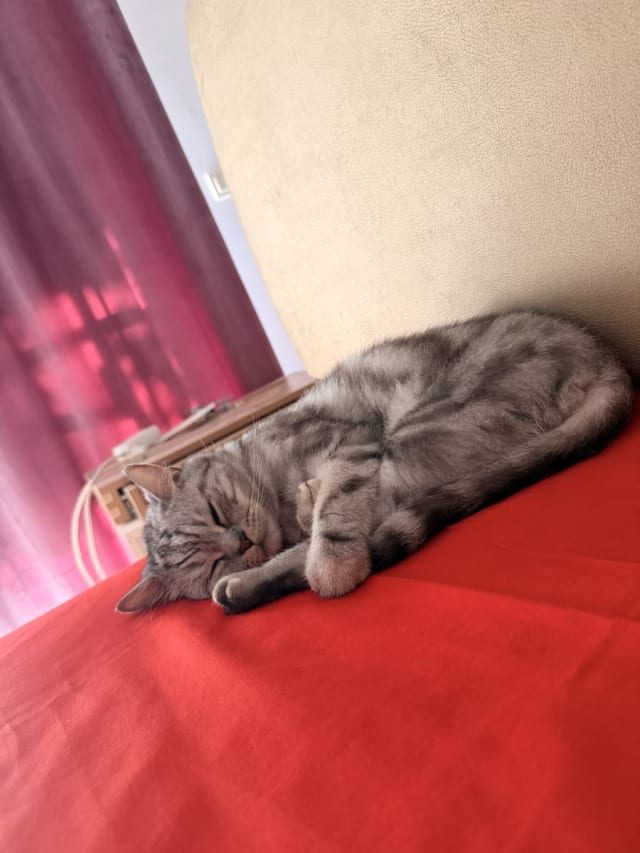 İlan fotoğrafı