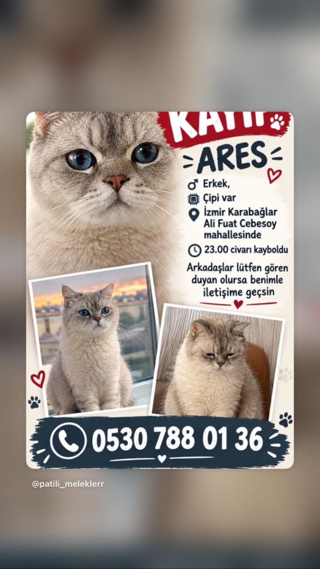 ARES - Kayıp