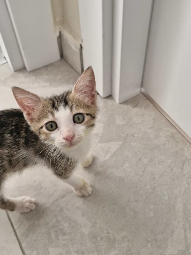İlan fotoğrafı