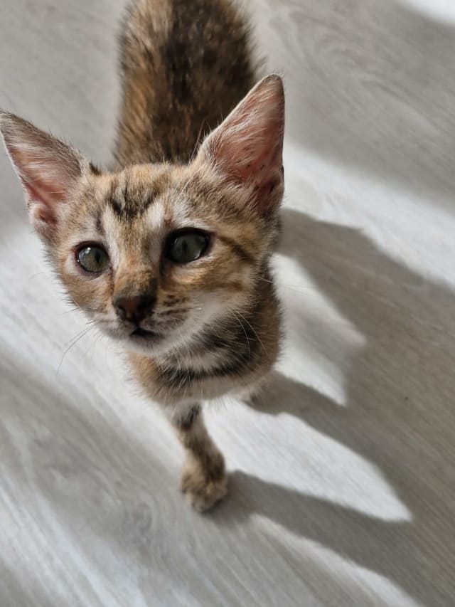 İlan fotoğrafı