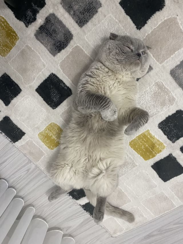 İlan fotoğrafı