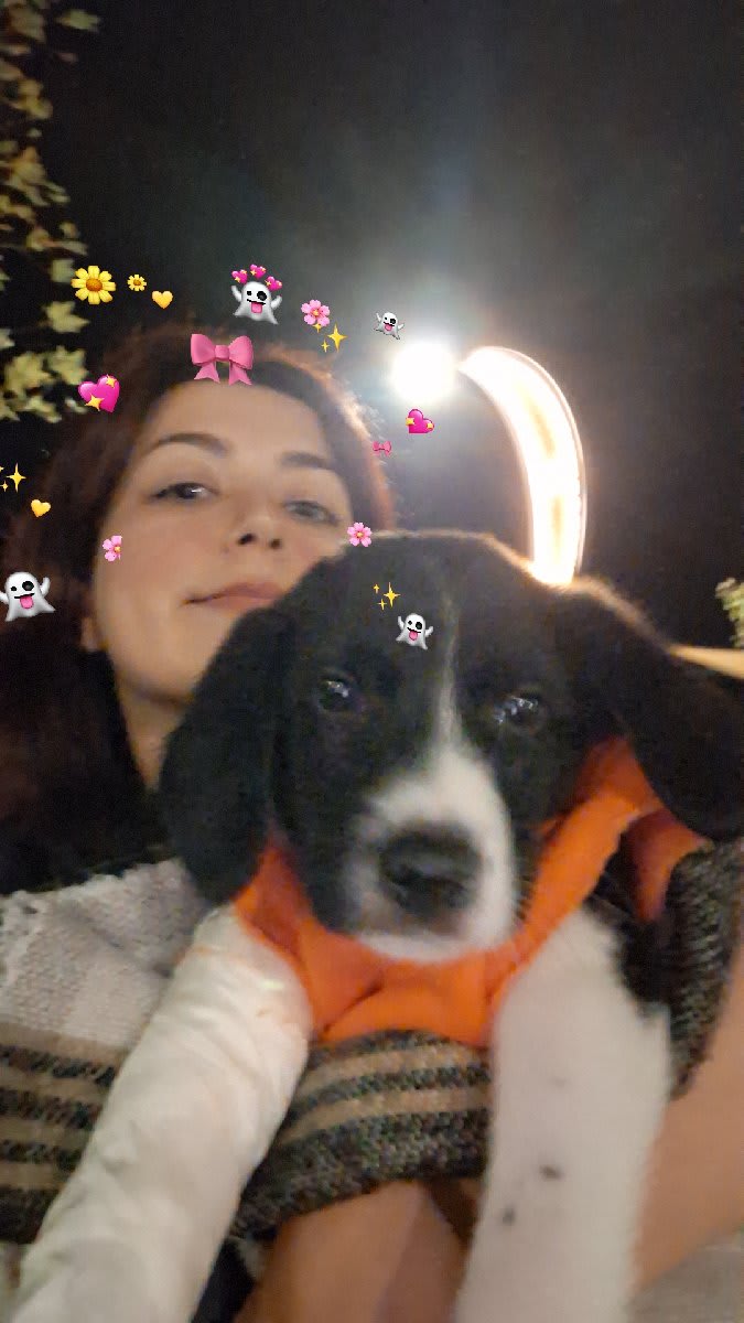 Gamze Öztürk