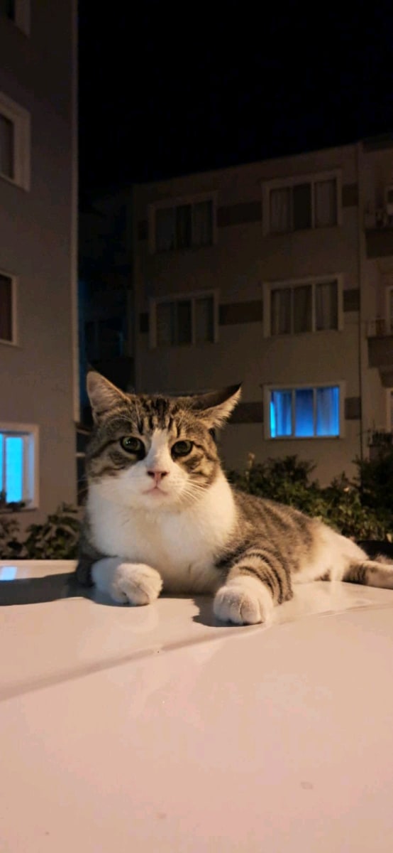 Lokum - Fotoğraf 3