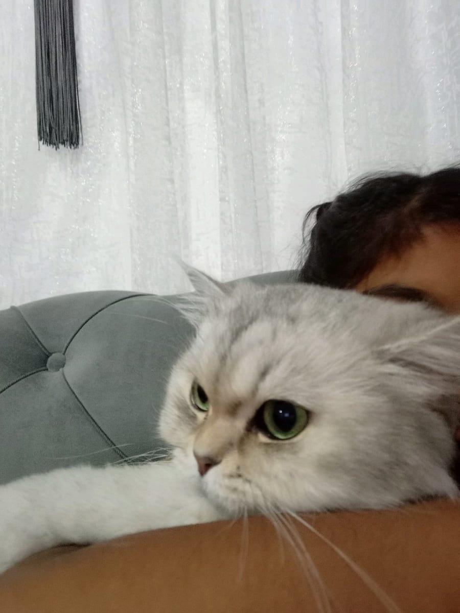 Luna - Fotoğraf 5