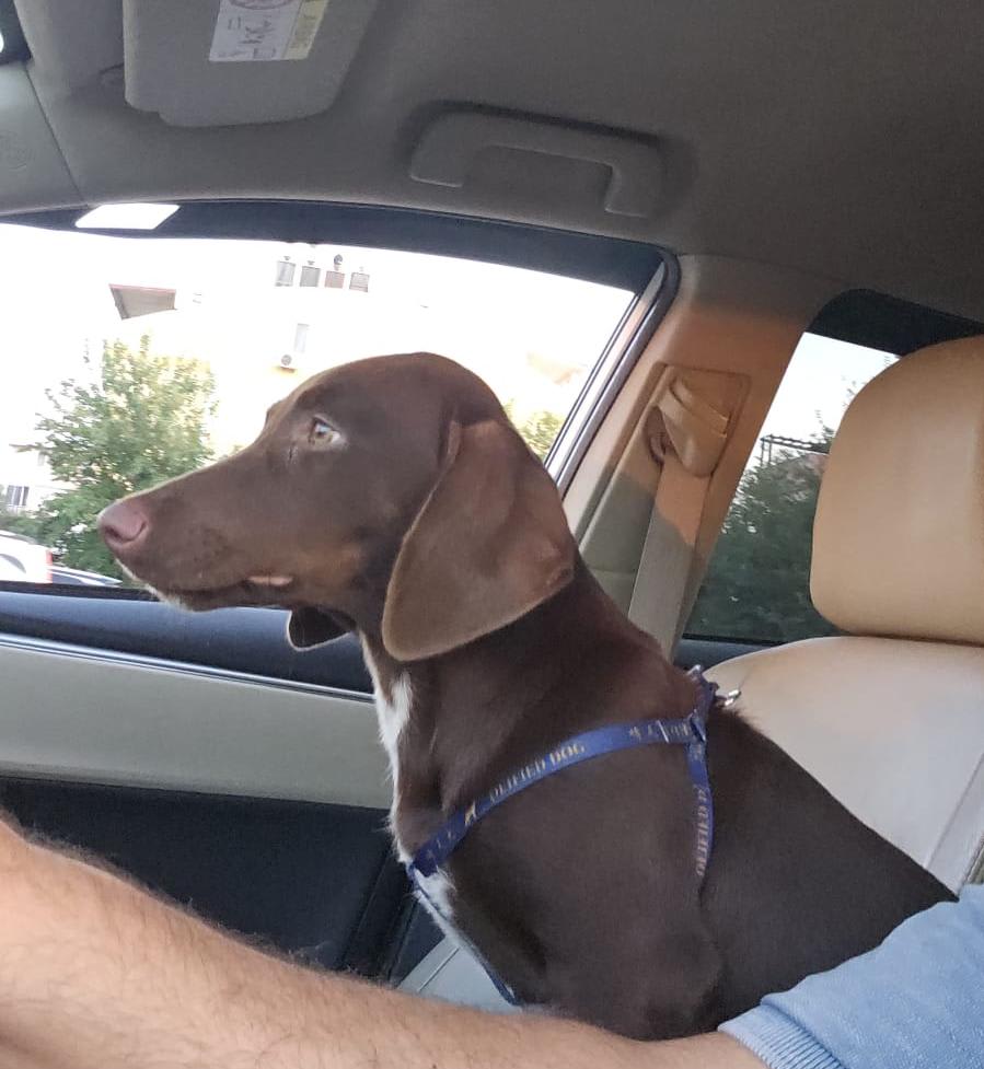 Roxy - Fotoğraf 2
