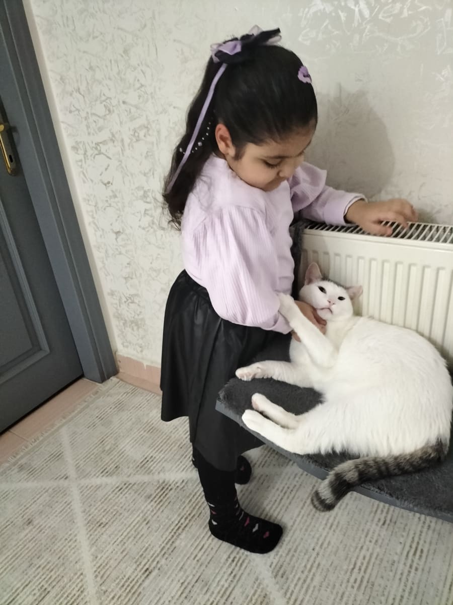 İlan - küçük resim 4