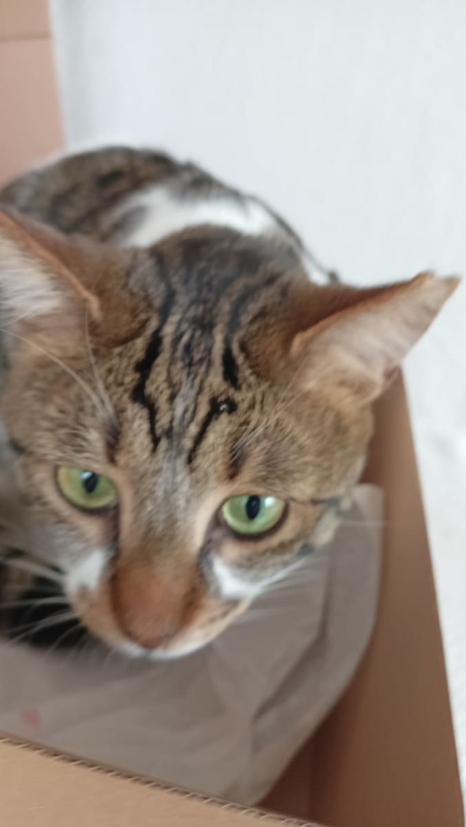 Erko - Fotoğraf 2