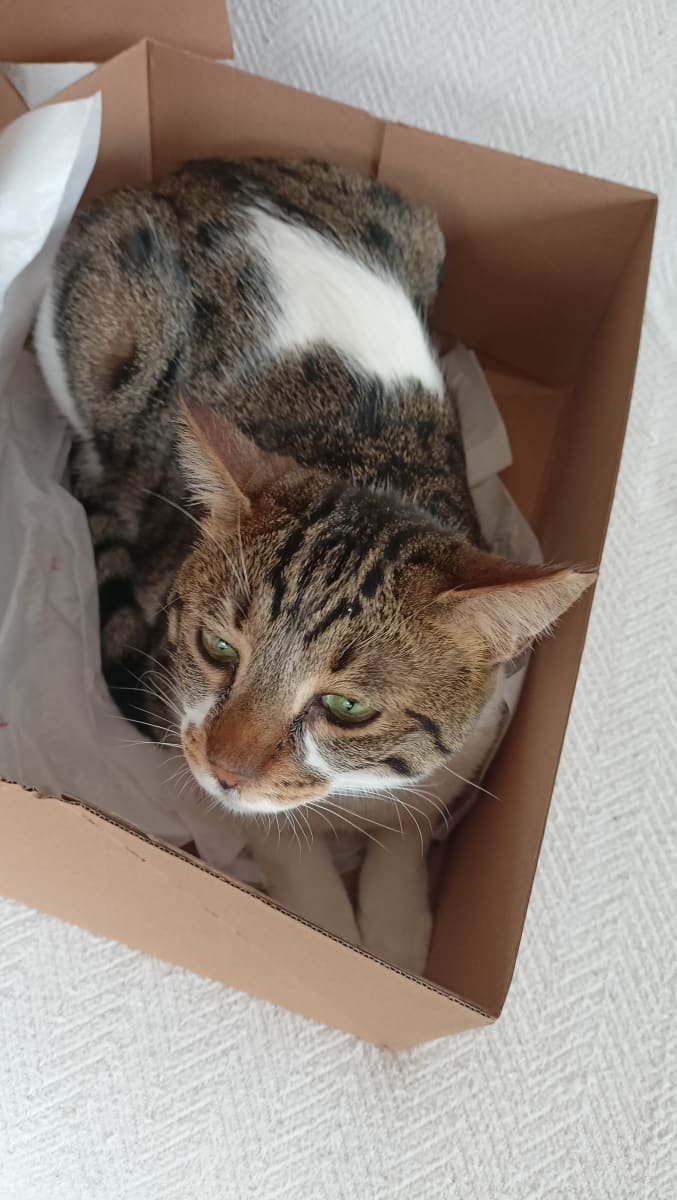 Erko - Fotoğraf 3