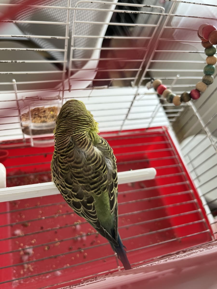 Bilmiyorum - Fotoğraf 3