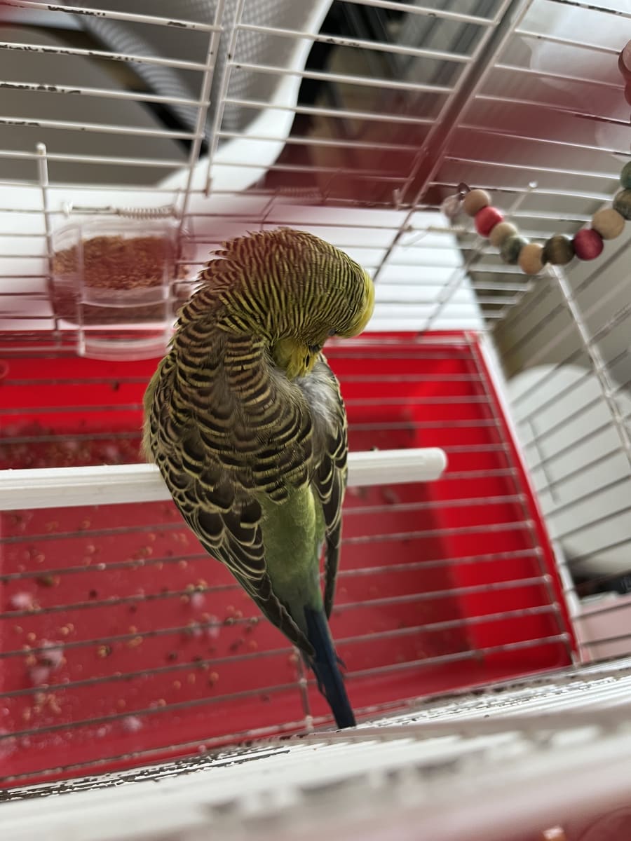 Bilmiyorum - Fotoğraf 4