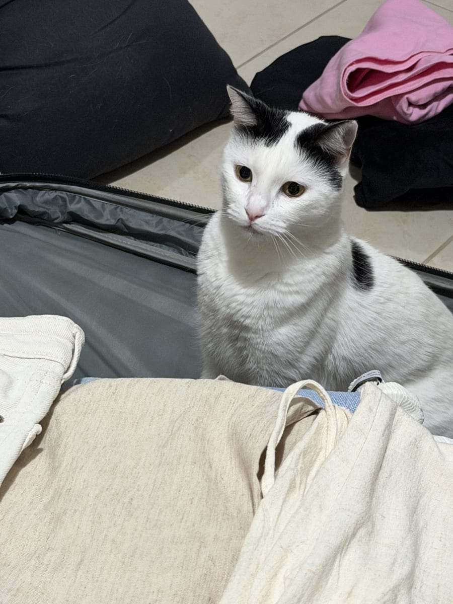 Mavi  - Fotoğraf 2