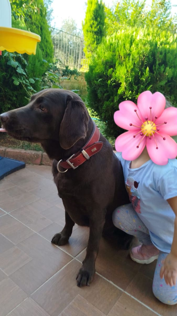 Vivi - Fotoğraf 3