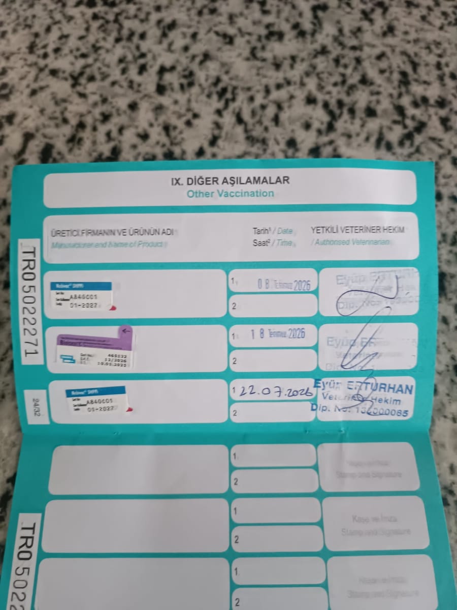 İlan - küçük resim 2