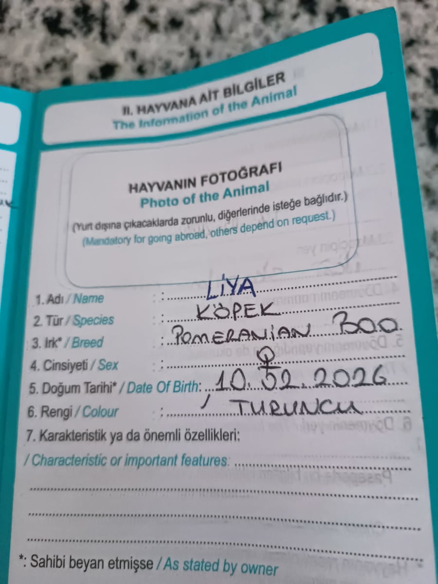 İlan - küçük resim 3