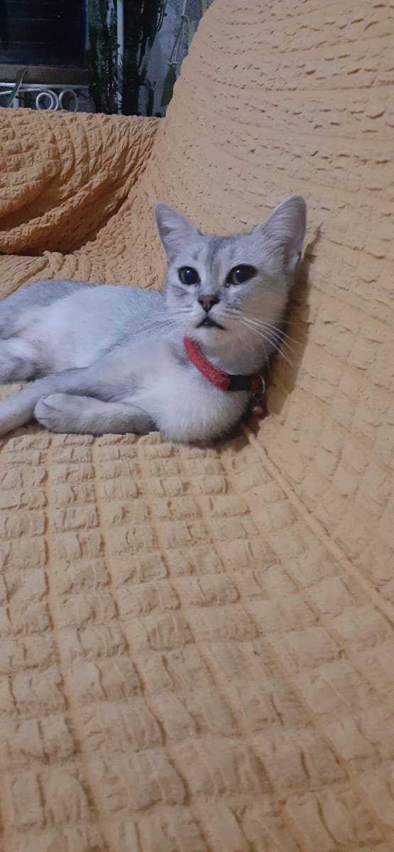 ismi bilinmiyor - Fotoğraf 2