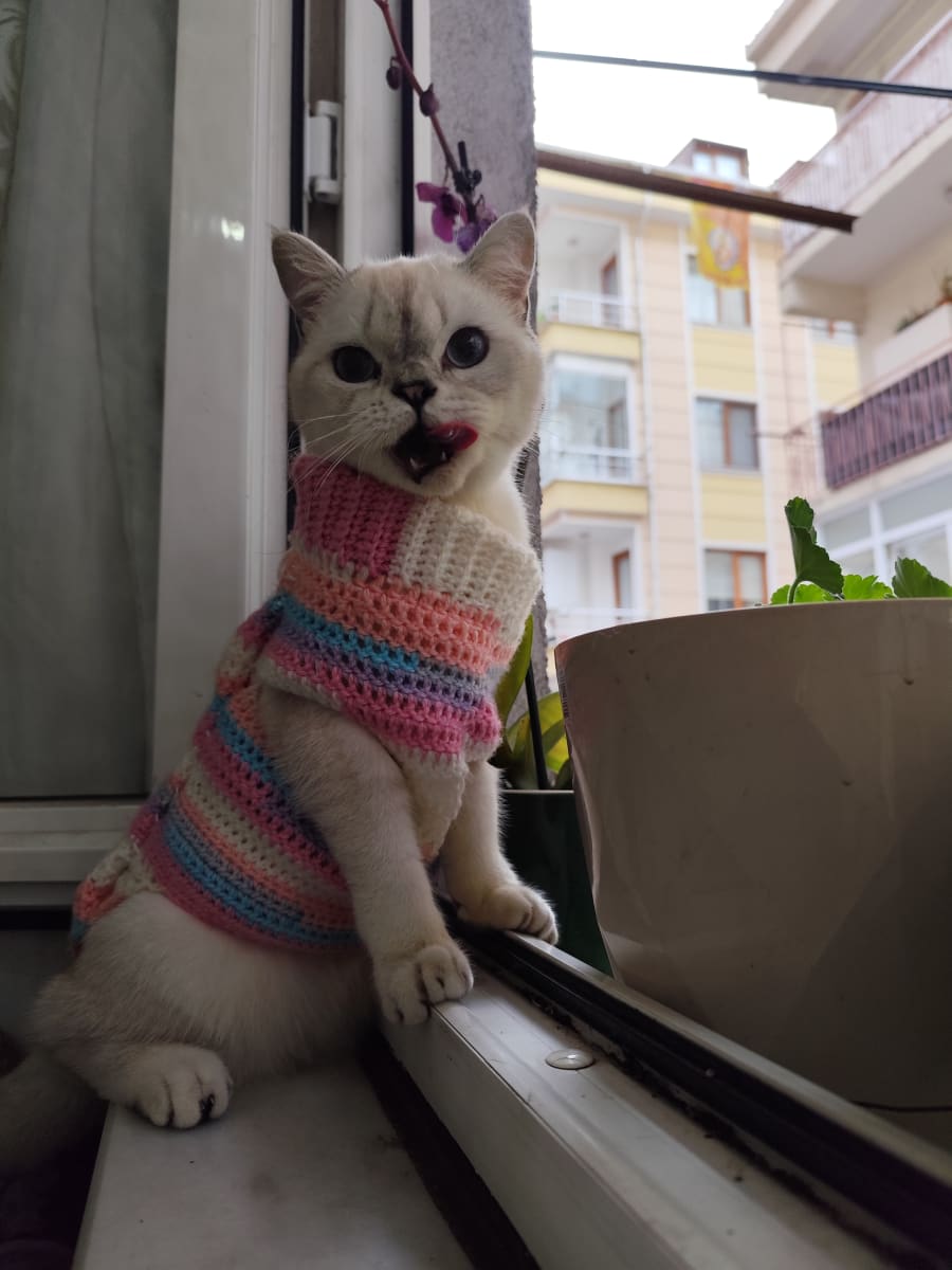 İlan - küçük resim 2