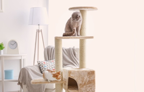 Comment Fabriquer Un Arbre A Chat A La Maison