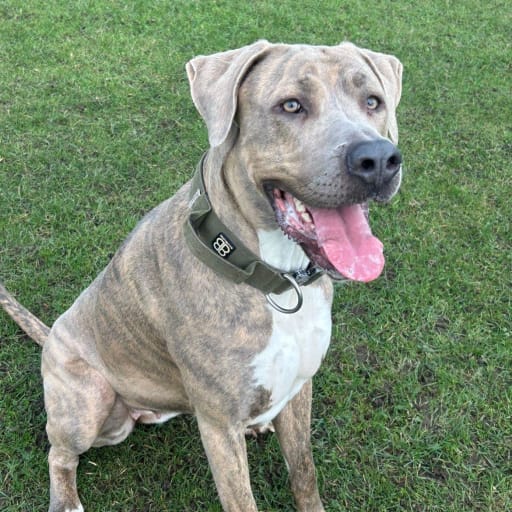 narla